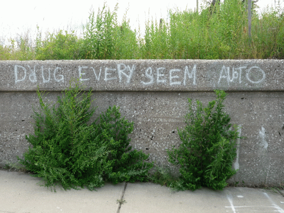 mysterygraffiti